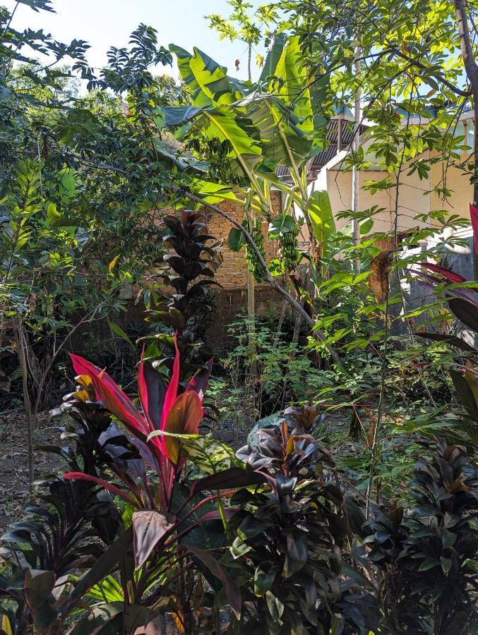 Agus Family Homestay Labuan Bajo Buitenkant foto
